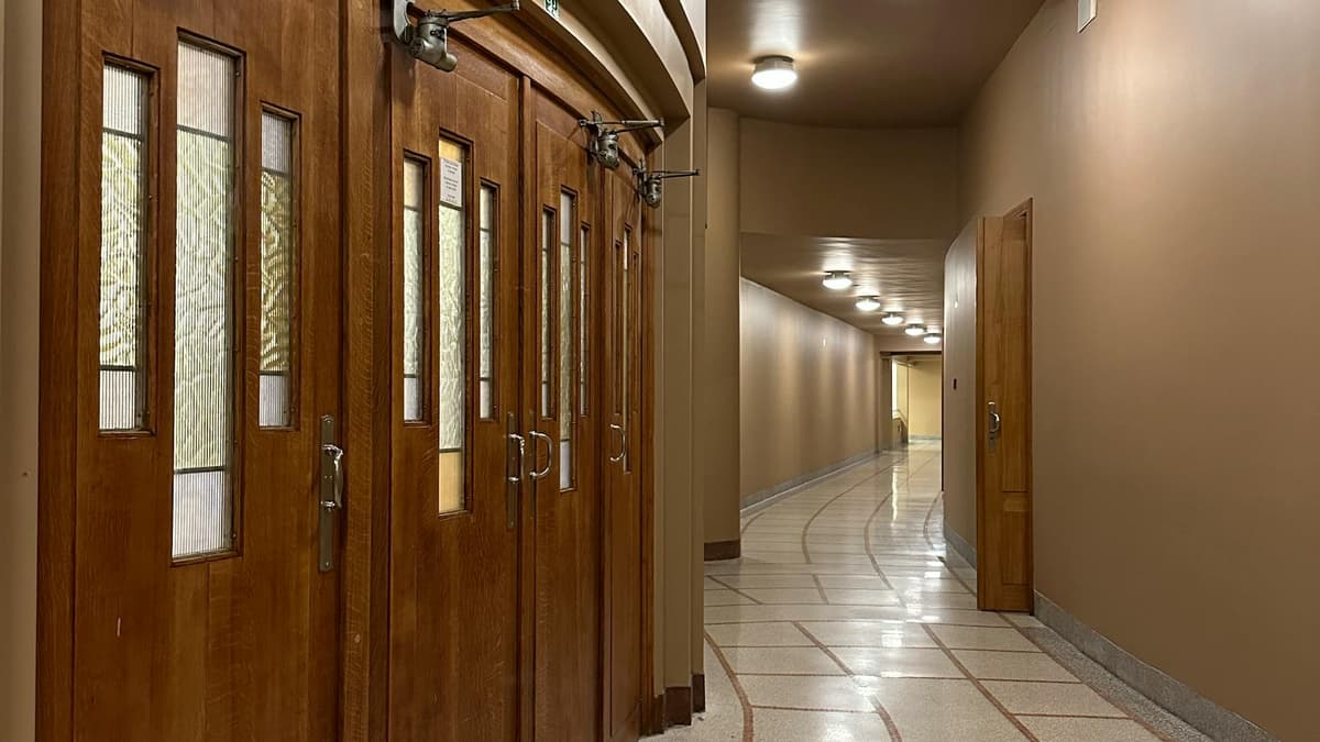 Premium FD30 Fire Door